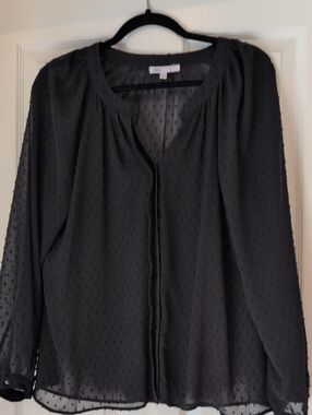 DR2 Sheer Black Swiss Dot Button-Front Blouse